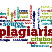 Plagiarism renders expert report inadmissible.