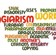 Plagiarism renders expert report inadmissible.